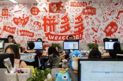 (4分钟教程)湘西州政府_哔哩哔哩-2